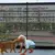Cercadinho Pet Dobrável - comprar online