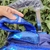Mochila Sonic Premium en internet