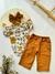 Conjunto Terra