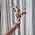 Flores Secas- Ramo S