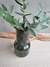 Florero SAKURA - comprar online