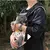 Saco Para Passei Com cachorro e Gato - loja online