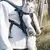 Saco Para Passei Com cachorro e Gato - loja online