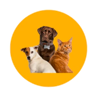 Marca 3 de RL STONE, a Loja da Utilidade que trás segurança, economia e agilidade em suas compras.