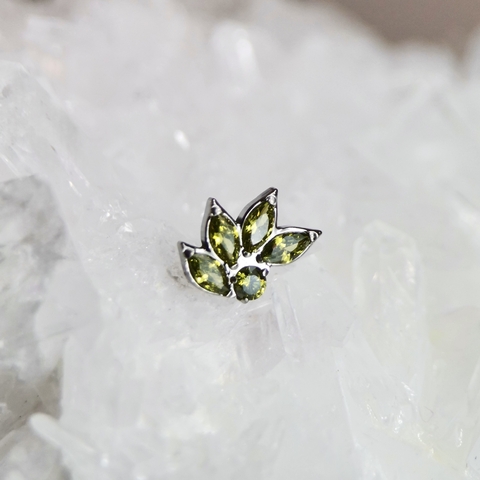 Aura olivo - comprar en línea