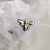 Abejorro Oro sólido 14k - comprar online
