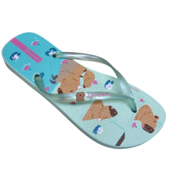 Chinelo Ipanema_20058 - comprar online