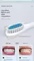 Escova de Dentes Elétrica Ultrassônica para Adultos, Impermeável, Automático