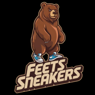 Feets Sneakers -  Modelos de Tenis Masculino e Feminino 