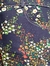 SHORT FLORES en internet