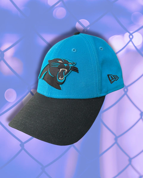 Boné Carolina Panthers - New Era