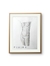 Desnudo - comprar online