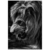 Quadro Plaquinha Decorativa MDF Leão Mostrando dentes - FR37