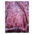 Quadro A4 Plaquinha Decorativa Paisagens Natureza 38