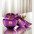 Eudora Eau De Parfum 75ml - comprar online