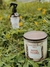 Vela Aromática Festival das Flores | lavanda - bambu - sândalo - comprar online
