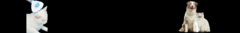 Banner de la categoría MASCOTAS