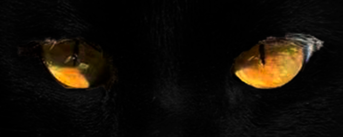 Blackat.24