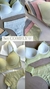 Conjunto gretta