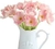 AMAPOLA ROSA - Vivero