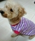 ESQUELETO - buy online