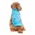 Buso snoopy - (copia) - (copia) - (copia) - Mon Chérie Pets