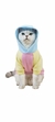 Buso snoopy - (copia) - (copia) on internet