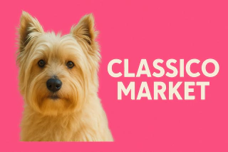 CLASSICO MARKET