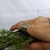 Anillo de Alpaca - Inspira