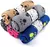 Kit 2 Mantas Microfibra Pet - Estampadas Sortidas - comprar online
