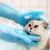 Acessórios de banho para gatos e cães de estimação Escova esfoliante na internet