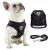 Pet trela camiseta arnês, malha respirável arnês, ajustável, fácil controle na internet