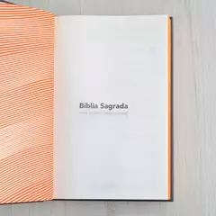 Biblia Sagrada | NVI | Neon Laranja | Capa Dura - Livraria Página Virada