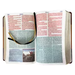Biblia de Estudo | King James Atualizada | Full Color | Capa PU | Marrom, Preta e Bordo - Livraria Página Virada