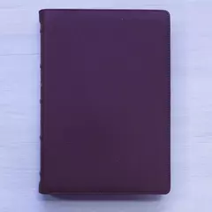 Imagem do Biblia Sagrada | NVI | Premier Collection | Capa Couro Luxo Vinho