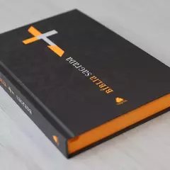 Biblia Sagrada | NVI | Neon Laranja | Capa Dura - comprar online