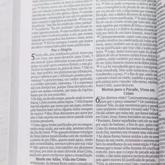 Imagem do Biblia Sagrada Lirios | NVI | Letra Grande | Capa Brochura