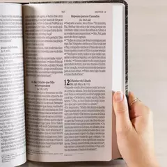 Biblia Sagrada Leao Yahweh | NVI | Letra Grande | Capa Dura na internet