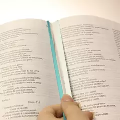 Biblia de Estudo Max Lucado | NVI | Leitura Perfeita | Capa Luxo Verde