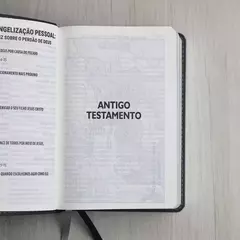 Biblia Sagrada | Letra Supergigante | NAA | Capa Luxo Cinza Peixe