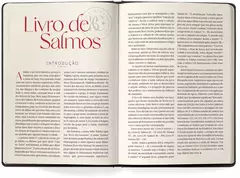 Biblia Contexto | Salmos e Proverbios | NVT | Capa Dura | Leao - loja online