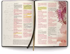 Biblia Contexto | Salmos e Proverbios | NVT | Capa Dura | Leao na internet