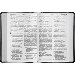 Biblia Sagrada | NVI | Letra Senior | Capa Azul - comprar online