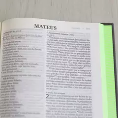 Biblia Sagrada | NVI | Neon Verde | Capa Dura - comprar online