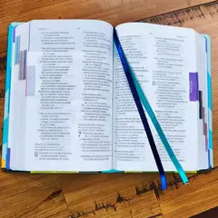 Biblia da Turma | NTLH | Capa Dura Ilustrada - comprar online