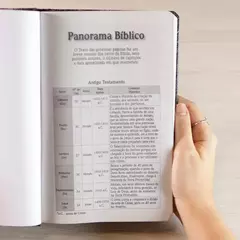 Biblia Sagrada Leao Yahweh | NVI | Letra Grande | Capa Dura