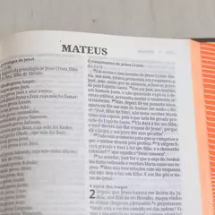 Biblia Sagrada | NVI | Neon Laranja | Capa Dura na internet