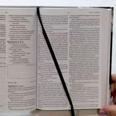 Biblia 365 Leao | NAA | Letra Grande | Capa Dura - comprar online