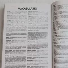 Biblia Sagrada | NTLH | Vao Pelo Mundo | Brochura