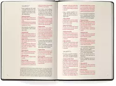 Imagem do Biblia Contexto | Salmos e Proverbios | NVT | Capa Dura | Leao